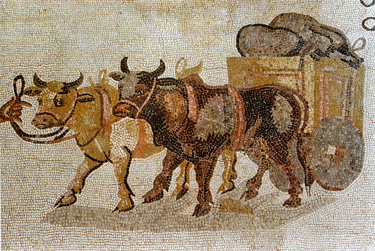 m0030.jpg