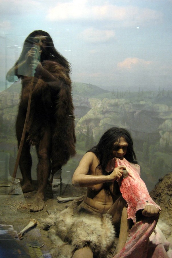 paleo2.jpg