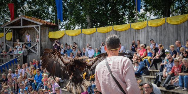 Arena Roofvogelshow.jpg