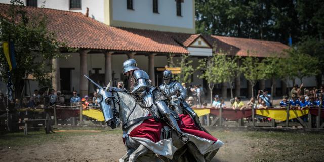 Toernooiveld Event Riddertoernooi.jpg