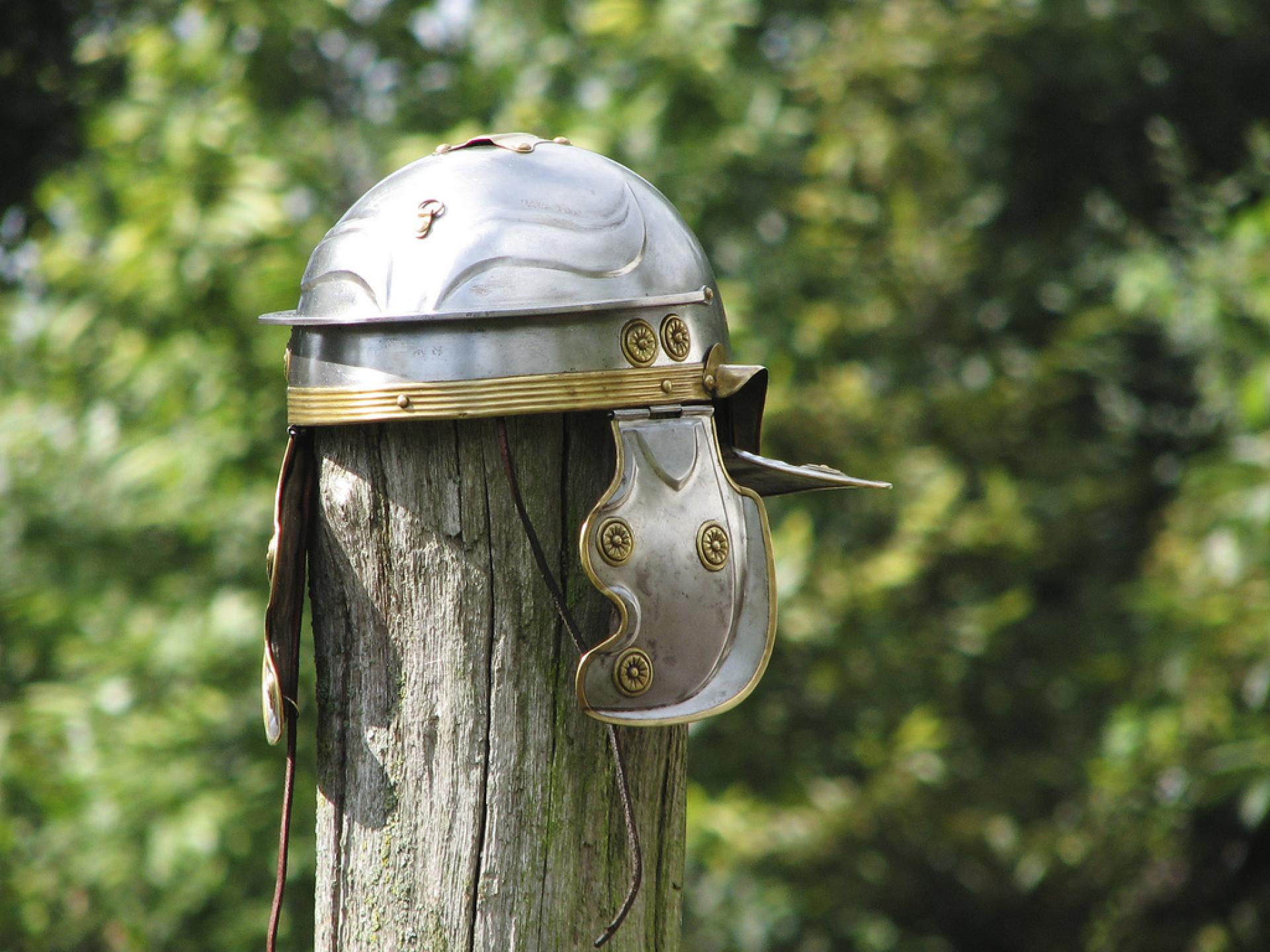 Job and Volunteer Market