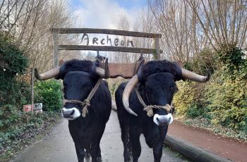 25 jaar Vereniging Vrienden van Archeon 