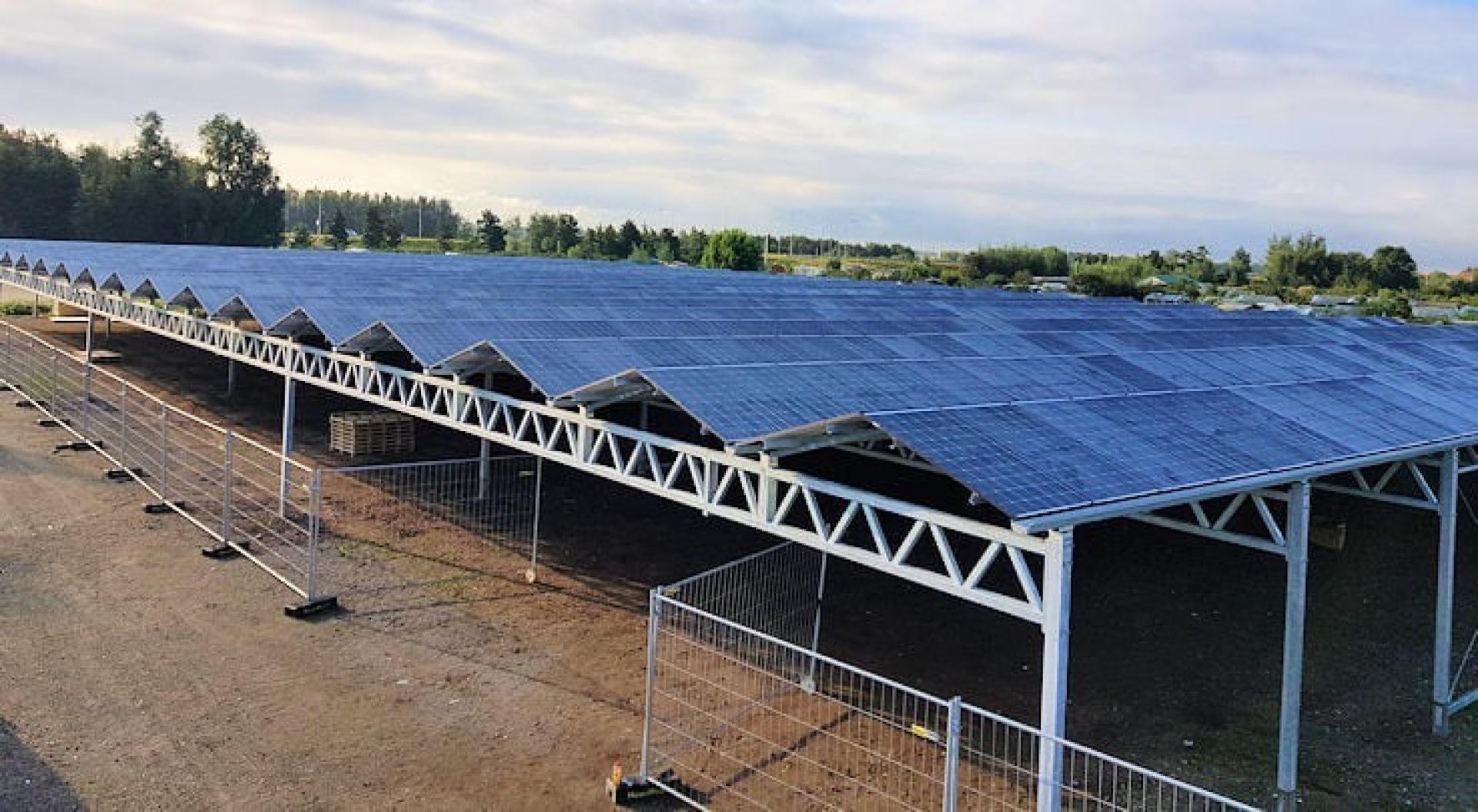 Zonnepanelen in het nieuws 