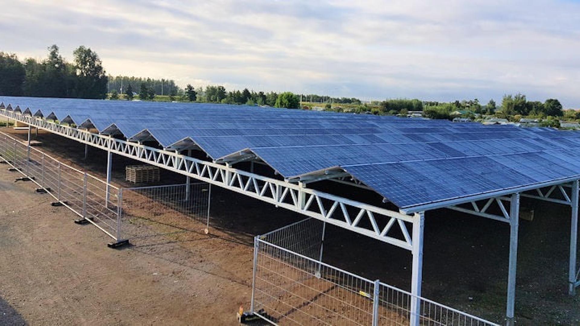Zonnepanelen in het nieuws 
