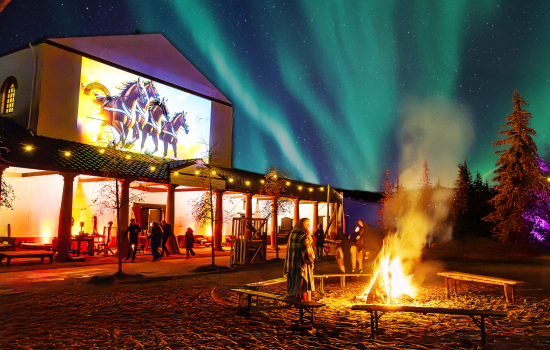 Licht Festival: Legenden Ontwaken - vanaf 17 december