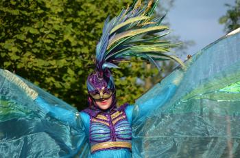 Midzomer Fair 2027