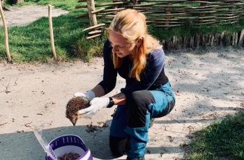 Egel in Archeon