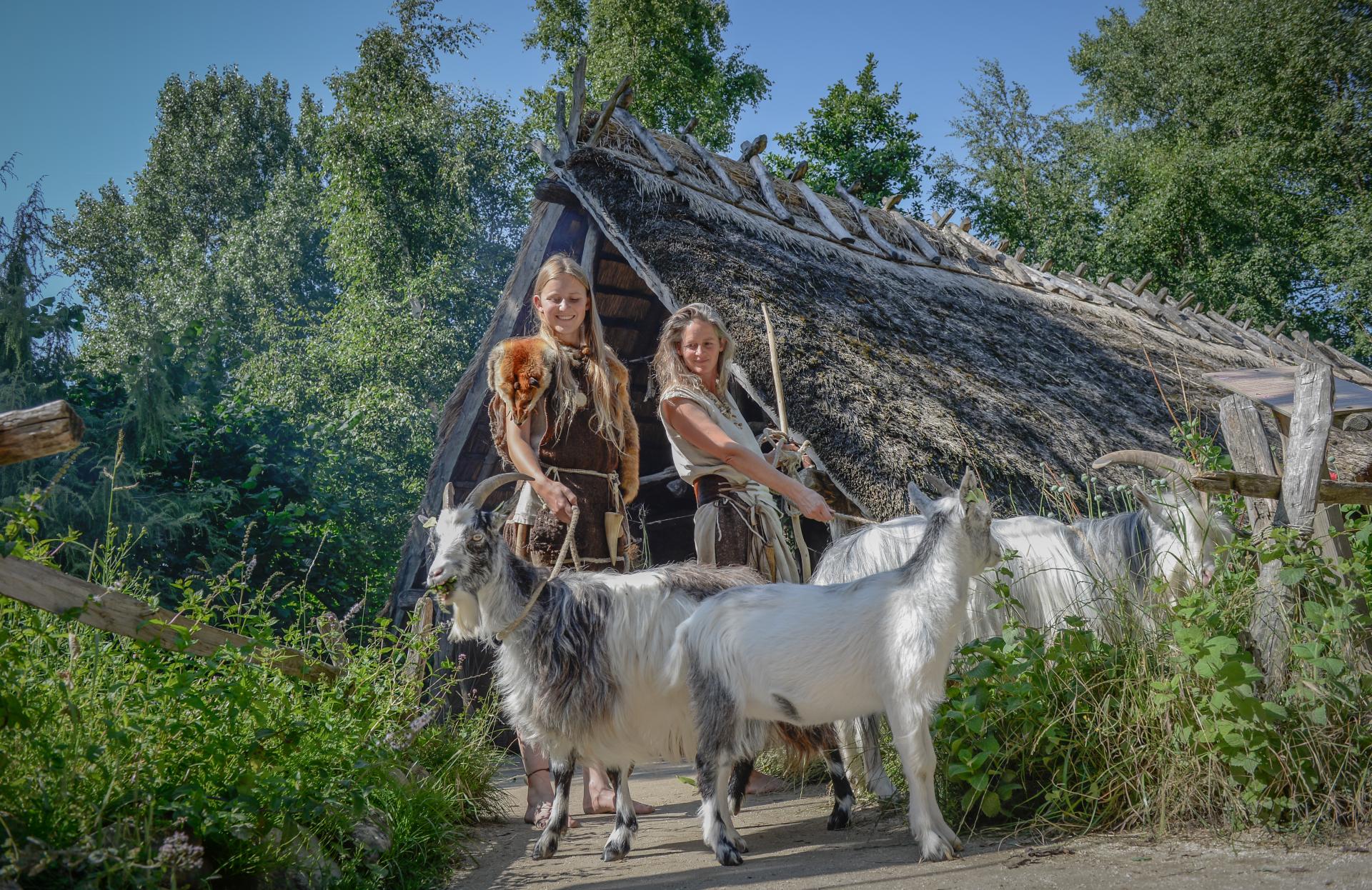 Prehistorische landschappen