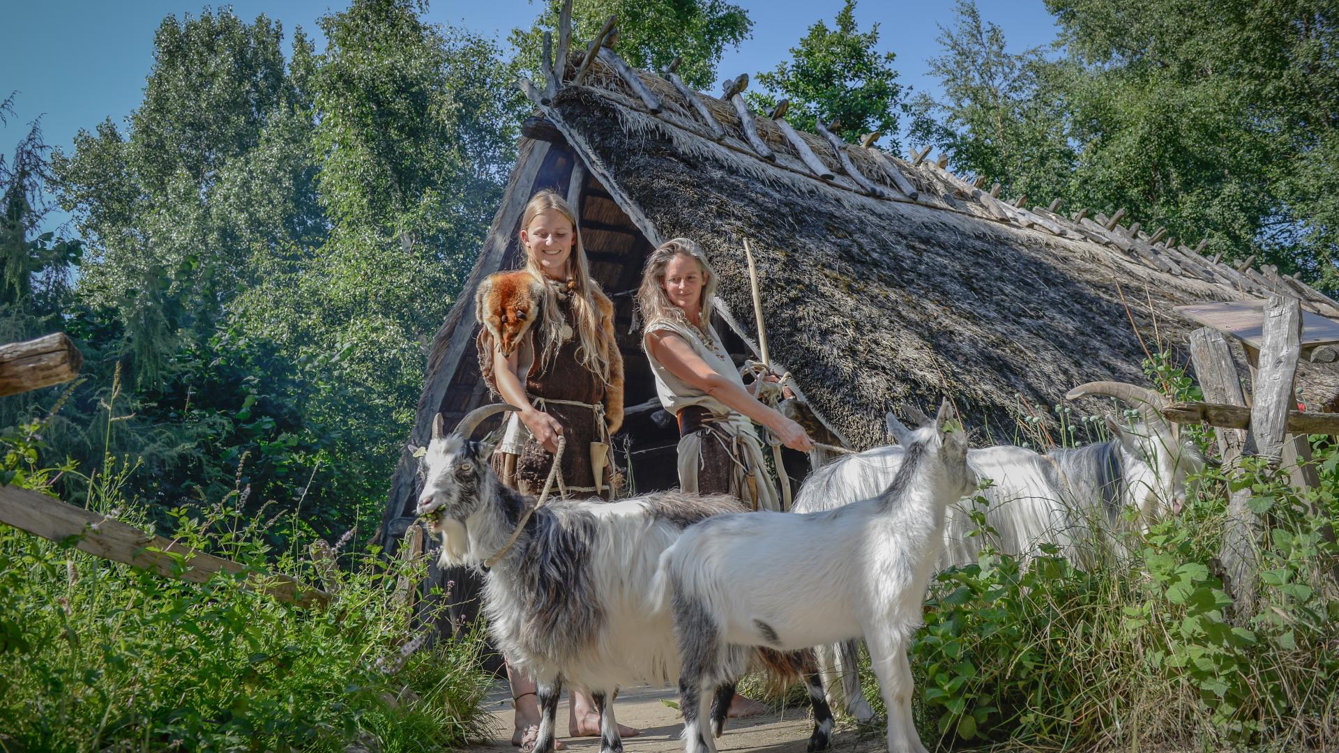 Prehistorische landschappen
