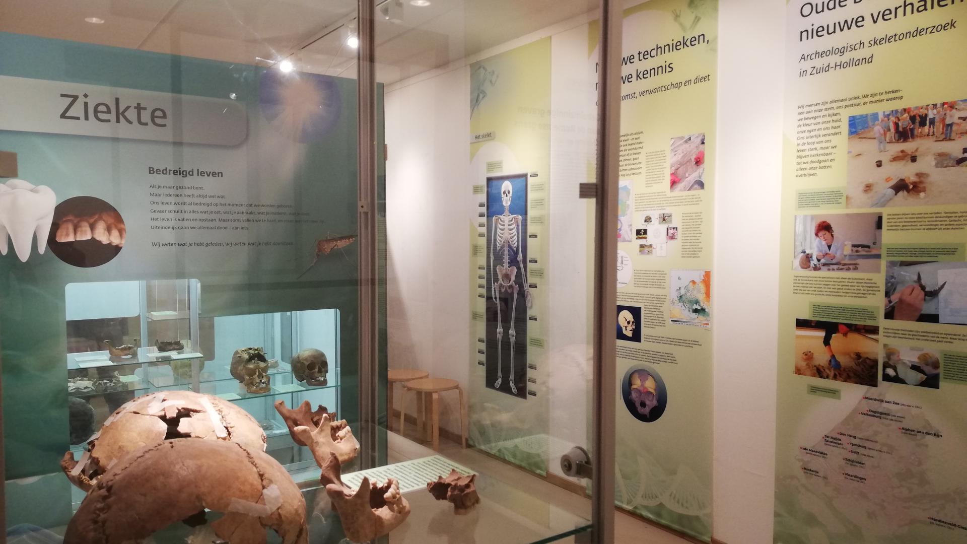 Nieuwe tentoonstelling: Oude botten, nieuwe verhalen