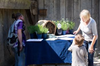 Nationale Bijentelling in Museumpark Archeon