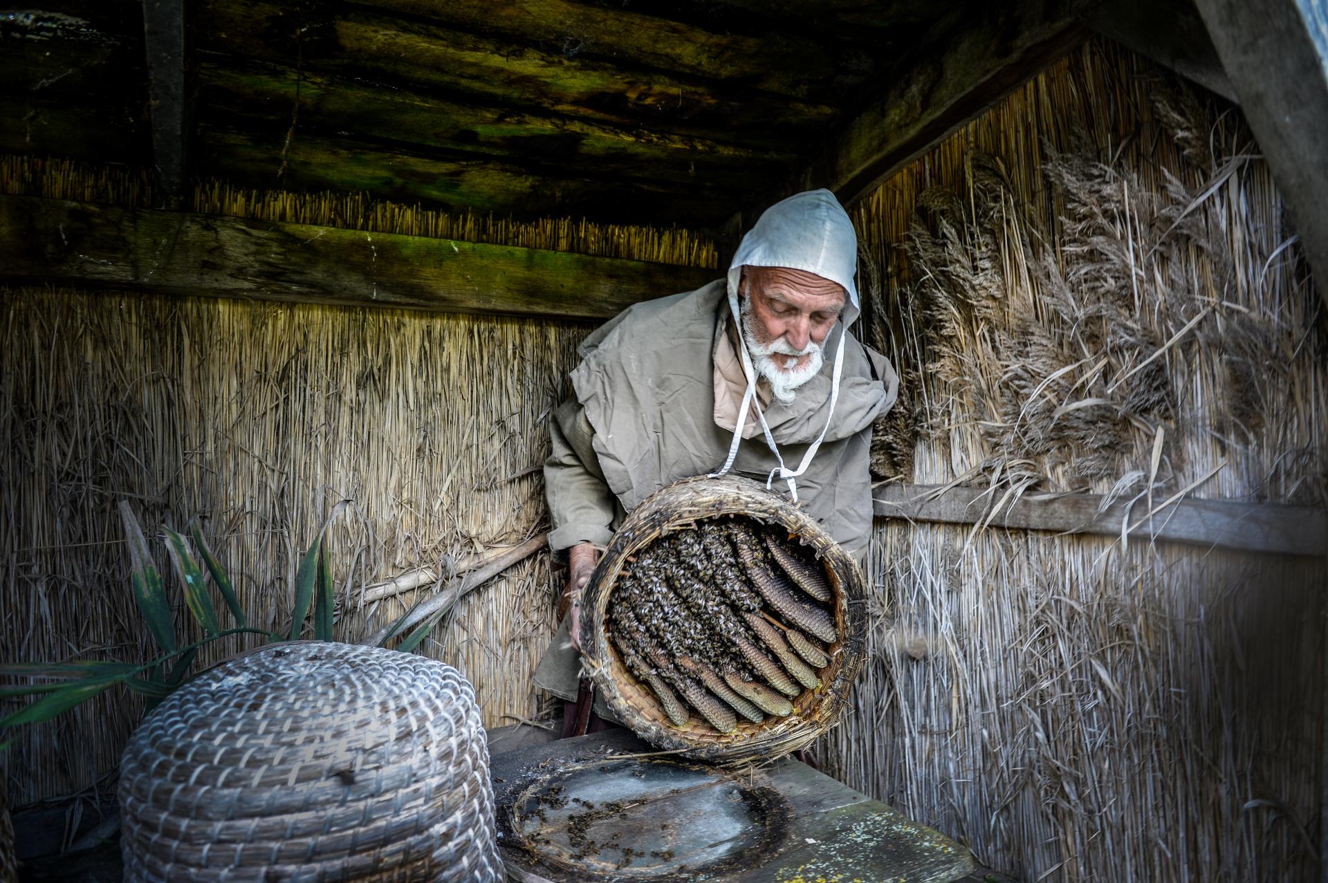 Archeon is the place to bees 