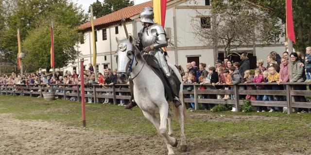Ridder demo solo (1).jpg