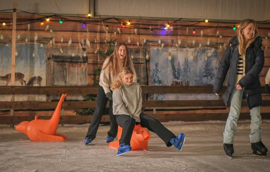 Vier de Winter met overdekte ijsbaan!