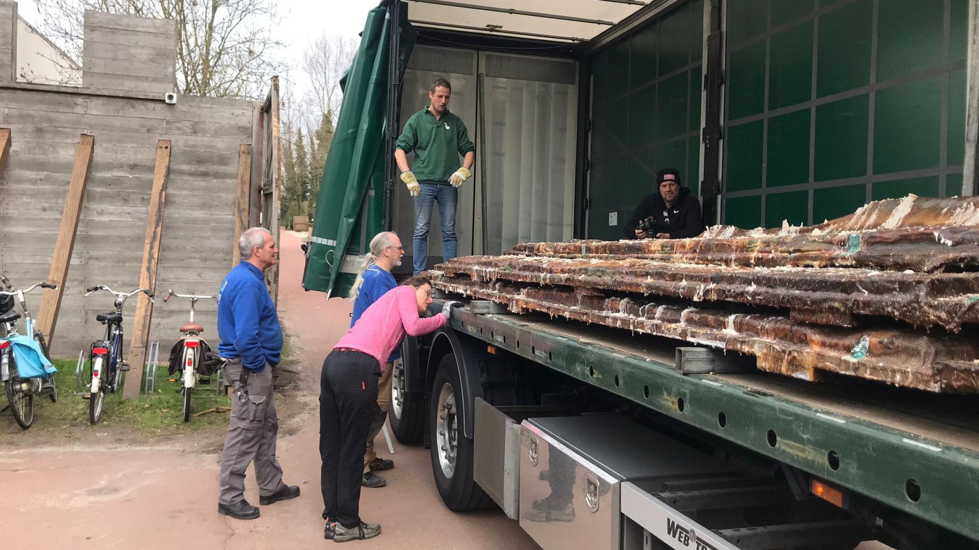 Laatste archeologische hout Zwammerdam 6 aangekomen