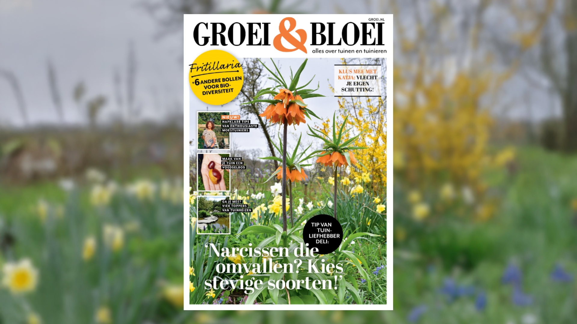 Archeon in Groei & Bloei