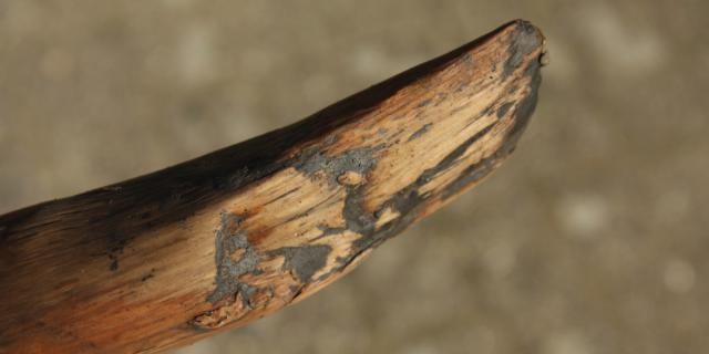 hout uit water.jpg