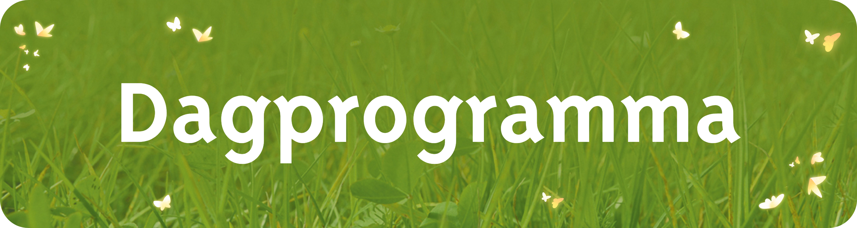 Dagprogramma.png